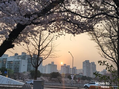 [눈 요기] 석양을 바라보며