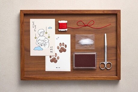 천안시, 취약계층 반려견 장례 지원 확대…본인부담 5만원