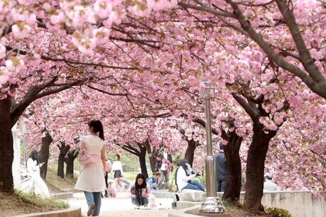 문체부, 봄 여행 활성화 ‘2026 여행가는 봄’ 캠페인 추진
